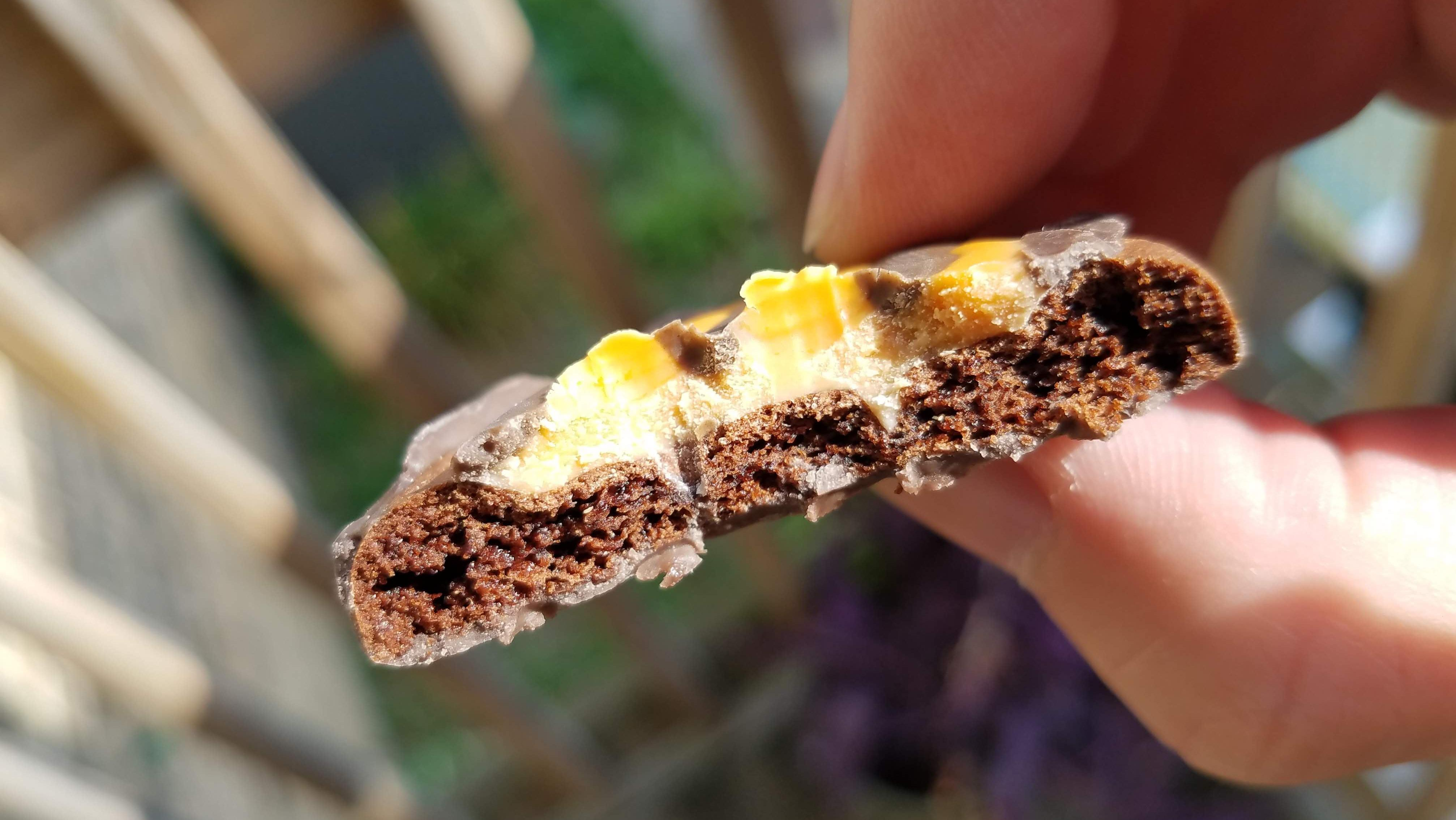 cross section of Adventureful girl scout cookie