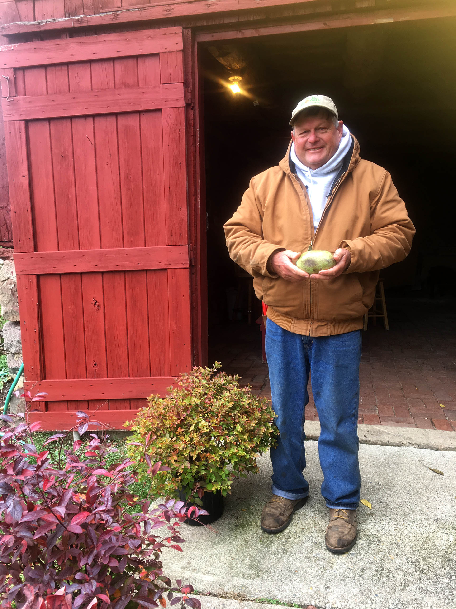 Bill Nash holding pawpaw fruit