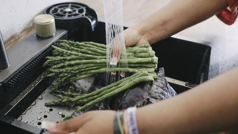 Hands washing asparagus