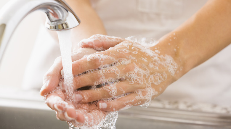 Hands being washed in faucet