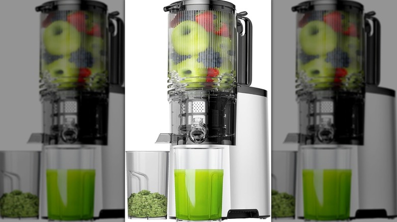 EanOruus Cold Press Juice Extractor Machine product shot