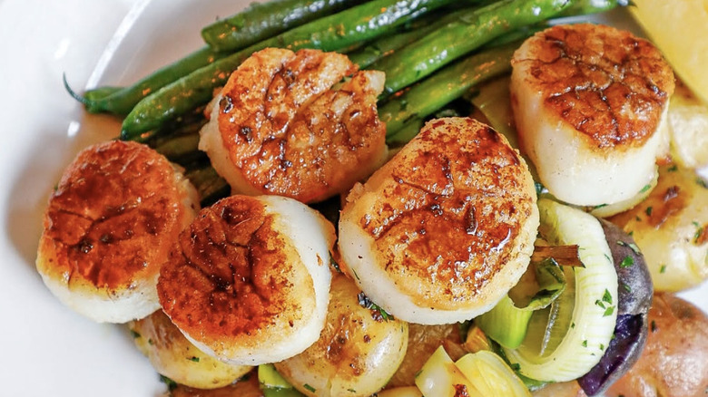 Seamore's scallops