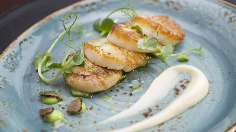 Scallops on a plate