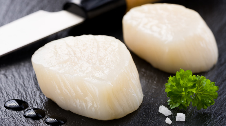 Scallops on black stone surface