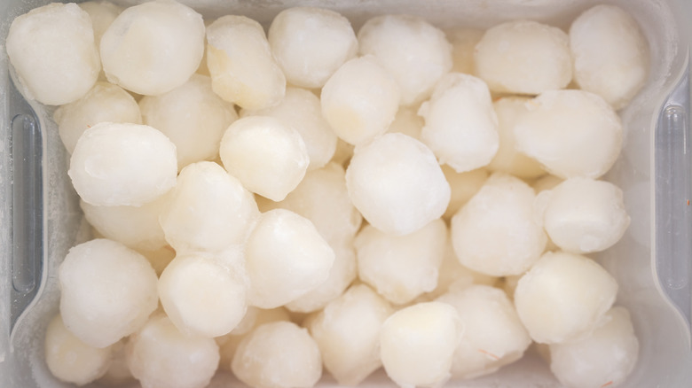 Frozen scallops in fridge