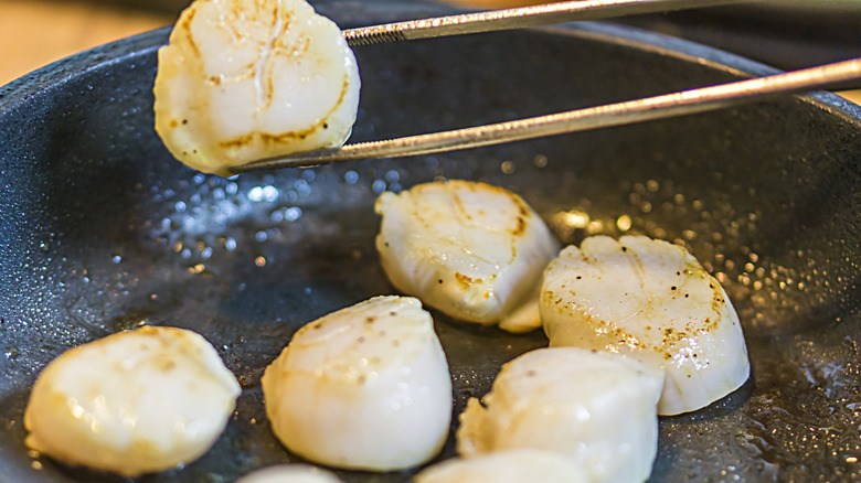 Pair of tongs flipping a scallop in a frying pan full of scallops