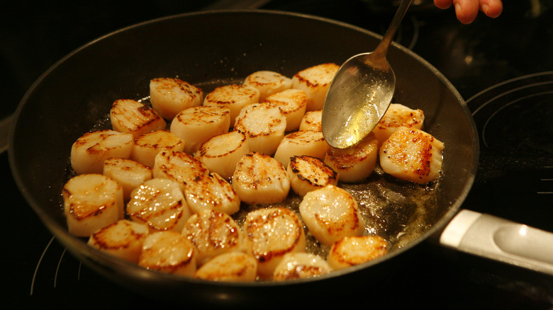 Lots of scallops in a pan on the stovetop