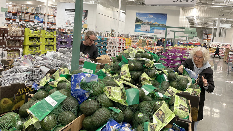 Avocados on display at Costco store