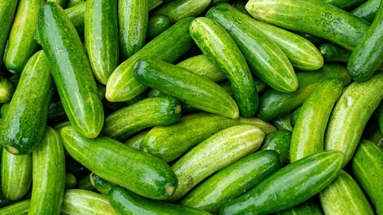 A basket full of ripe cucumbers