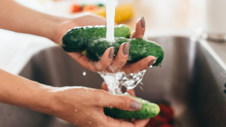 Person rinsing cucumbers in running water