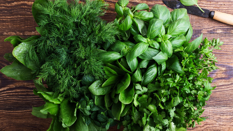 Fresh herbs on a rustic cutting board