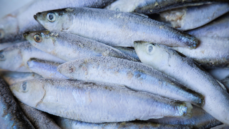 pile of frozen fish