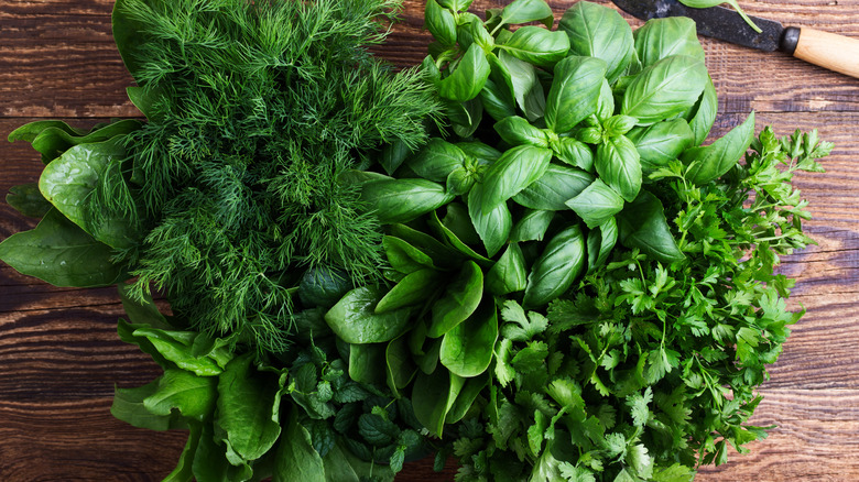 A bunch of fresh green culinary herbs on a wood table