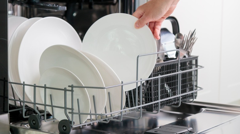 hand reaching into dishwasher