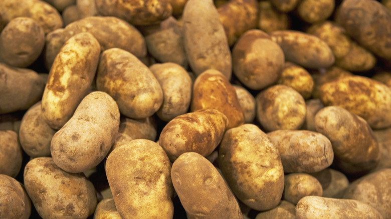 Russet potatoes shown in a big pile