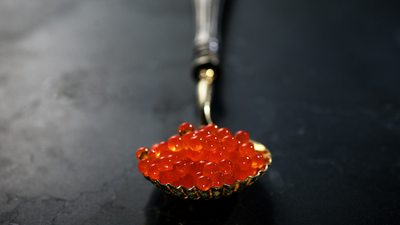 Spoonful of red caviar