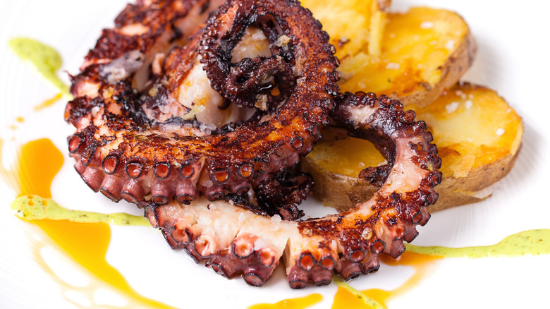 Grilled octopus tentacle with potatoes