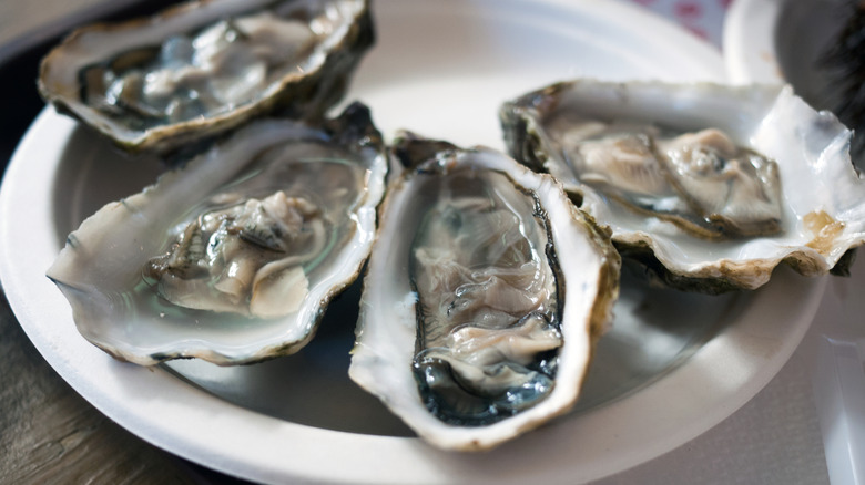 Raw oysters on plate