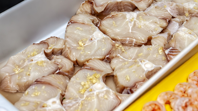 Shark steaks in a pan