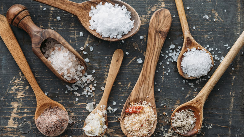 Different kinds of salt in wooden spoons