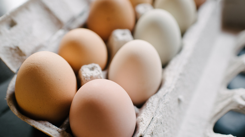 Eggs in a carton