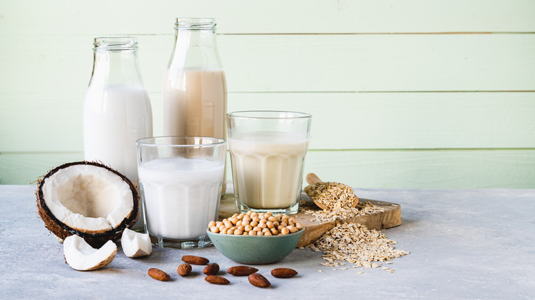 Different types of milk in jars and glasses