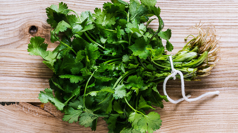 cilantro in bunch on table