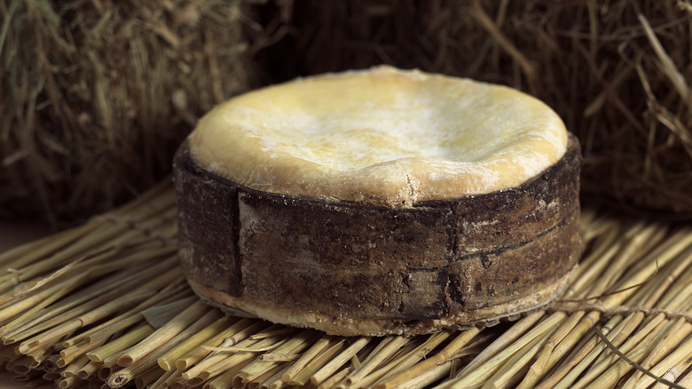 vacherin mont d'or