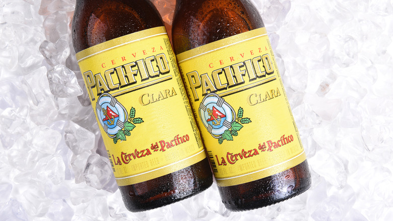 bottles of Pacifico on ice