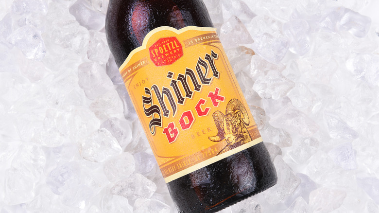 Shiner Bock bottle on ice