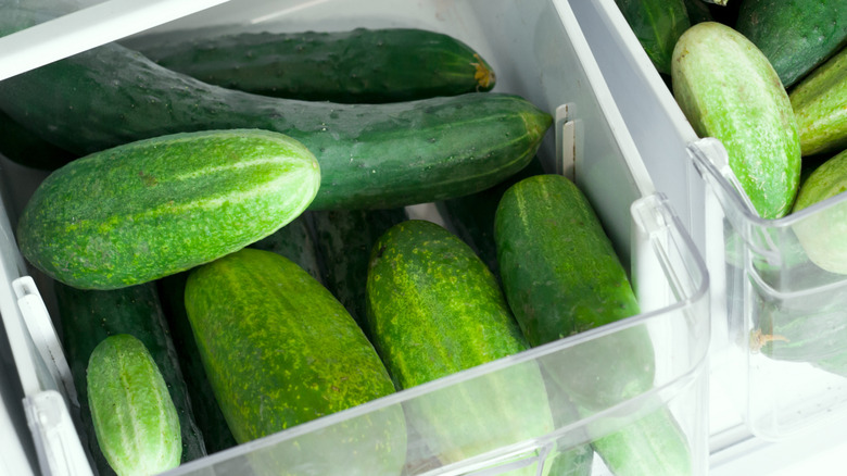 Cucumbers in refrigerator crisper drawer