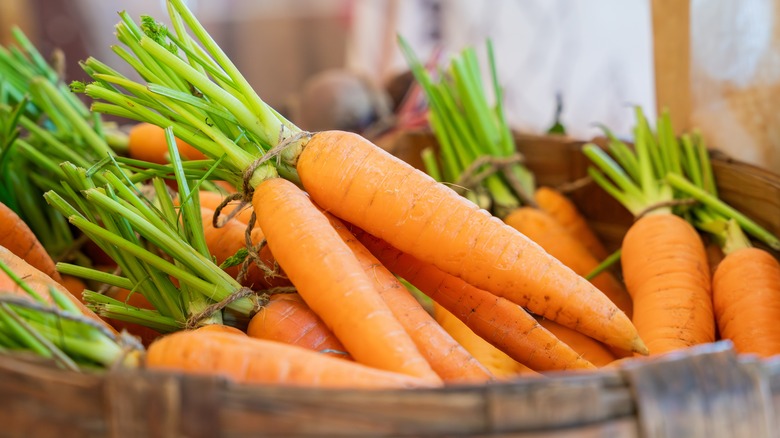 fresh carrots with stems