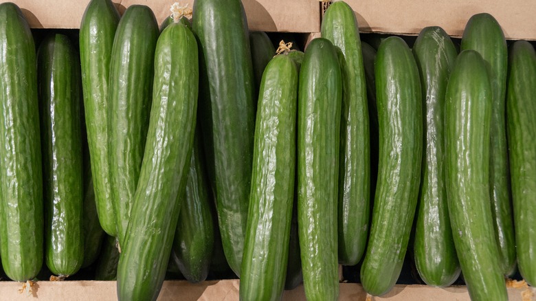 Persian cucumbers in a box