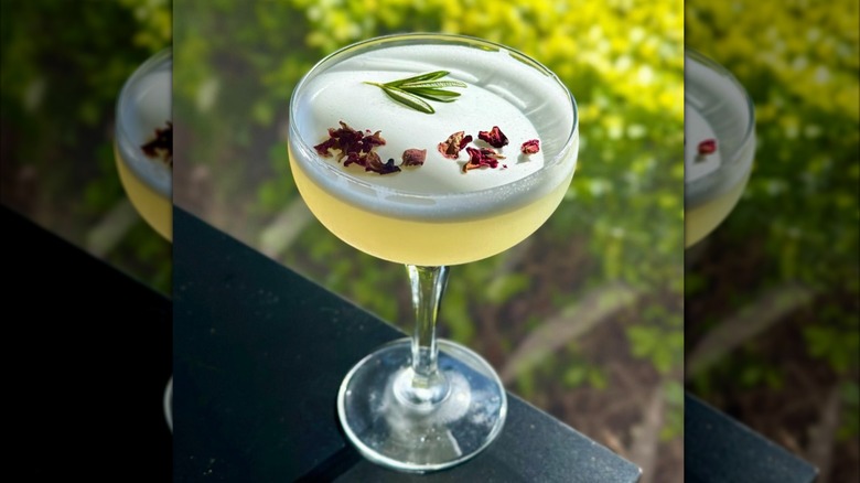 Gimlet cocktail with garnish