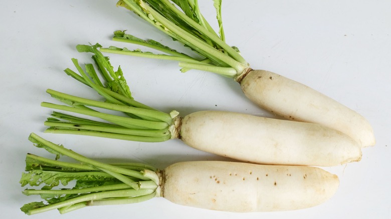 Three daikon bulbs on the counter