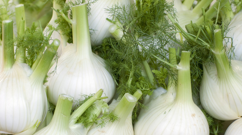 A bunch of fennel