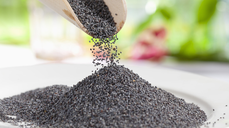 Poppy seeds being measured out on a plate