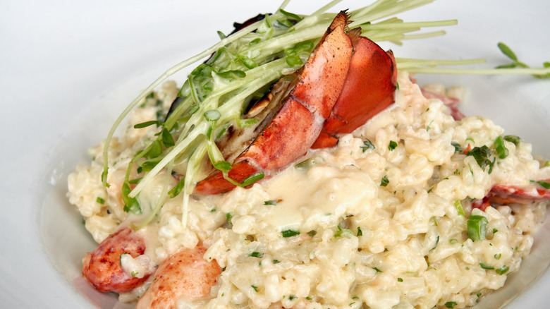 Lobster risotto on white plate