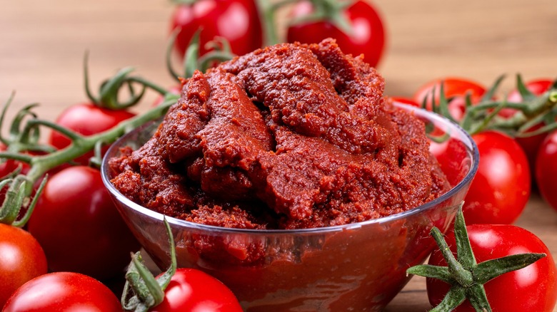 Bowl of tomato paste 