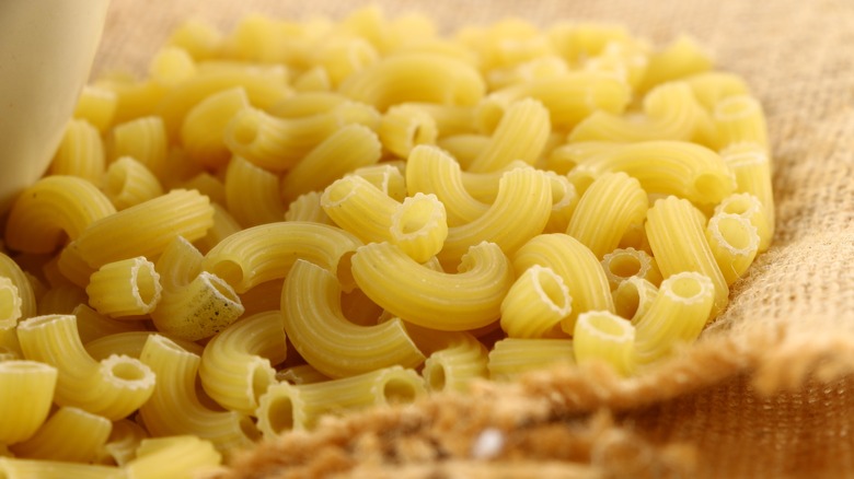 Elbow macaroni noodles close-up