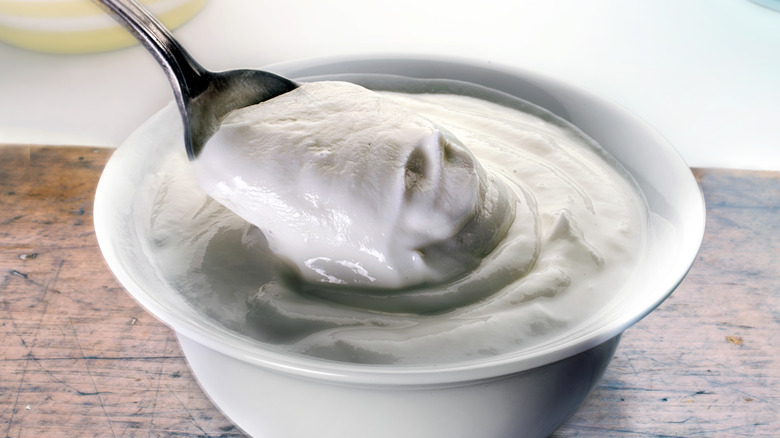 Bowl of Greek yogurt