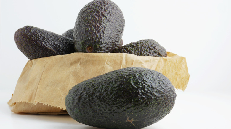 avocados in and around a paper bag