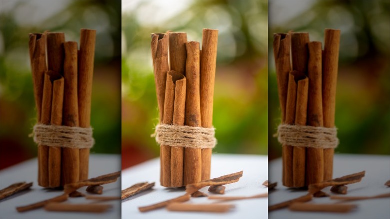 A bundle of cinnamon sticks wrapped in twine