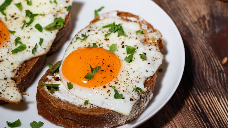 fried egg on rye toast