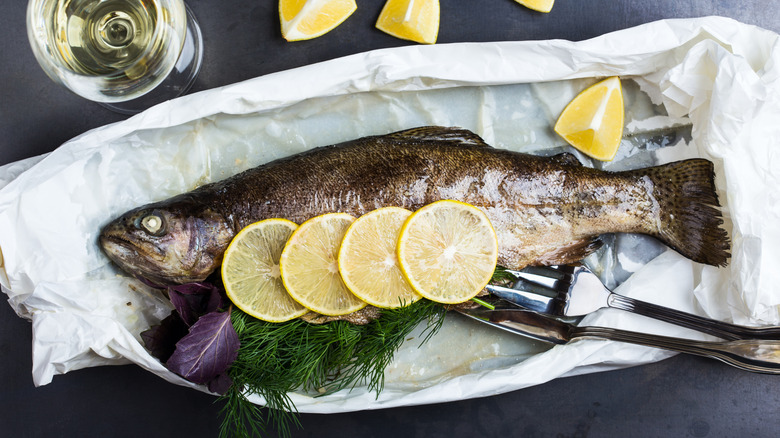 whole baked rainbow trout with lemon slices and dill