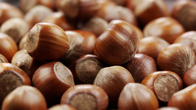 Pile of hazelnuts