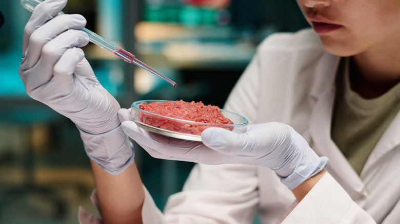 Scientist with meat in a dish