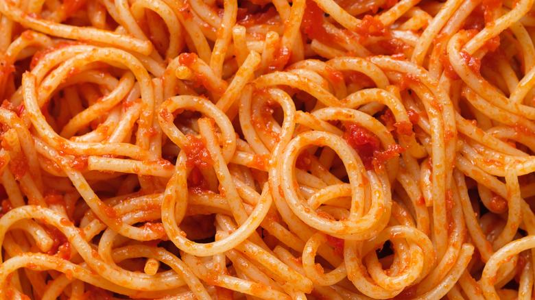 spaghetti closeup