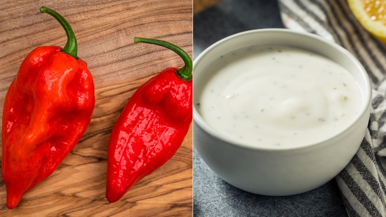 Left: Two red ghost peppers on a wooden surface Right: a white cup of ranch dipping sauce