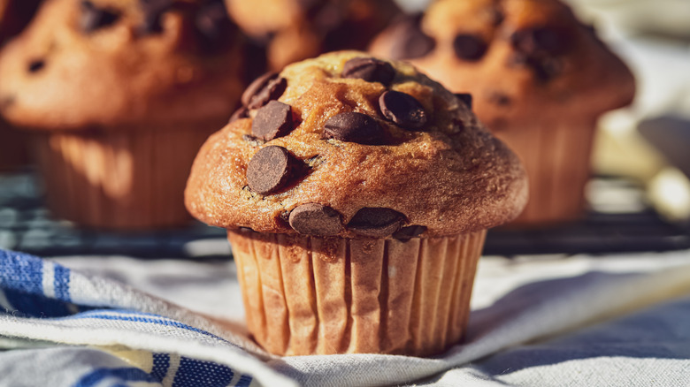 Chocolate chip muffins